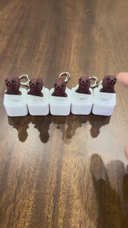 Video showing rechargeable sea lion fidget keychain with light and sound